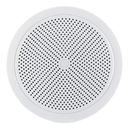 ROXTON PA-03T | Потолочный громкоговоритель